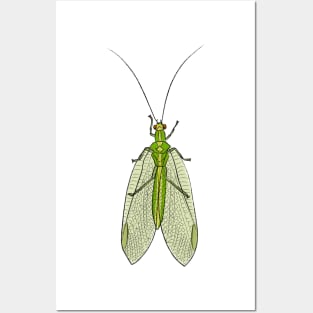 Lacewing (side) Posters and Art